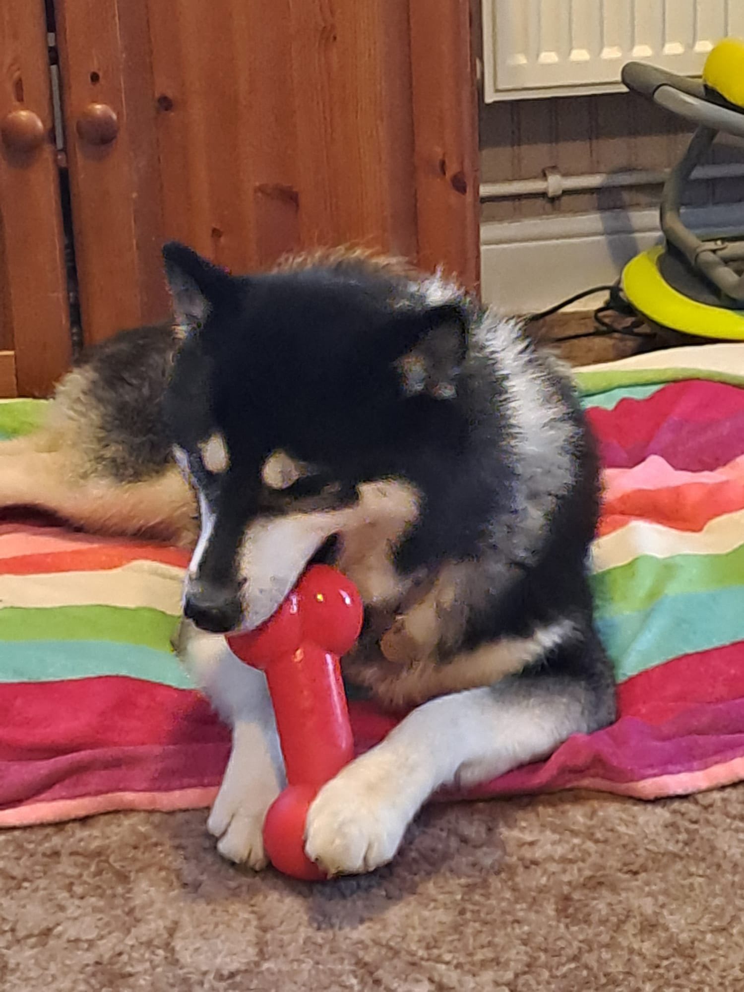 579990990_1484653533147954_3154373611347564639_n