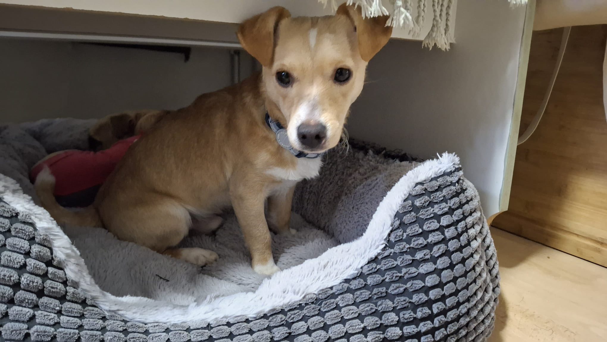 580322782_1489318966014744_8876388366656087489_n