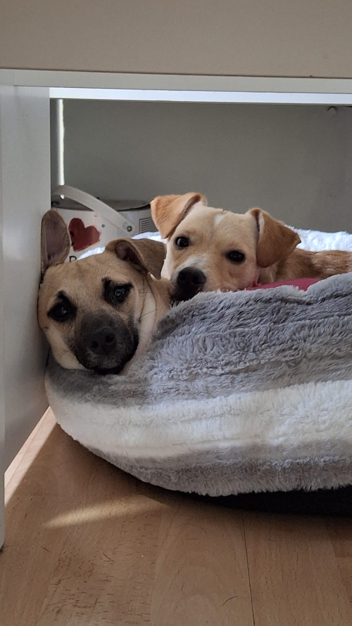 580494506_1489313362681971_1527497112957362444_n