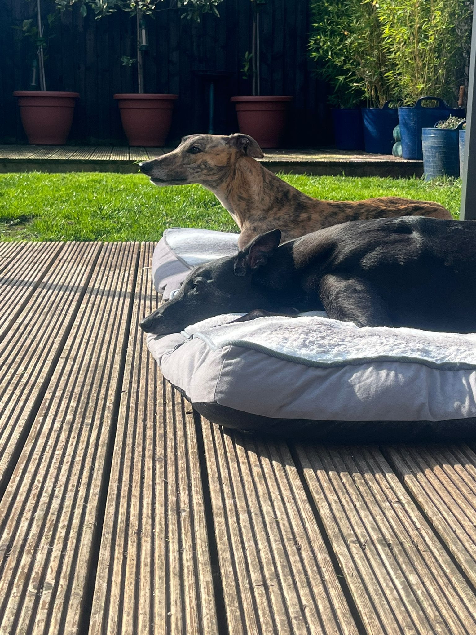 580525985_1486199782993329_7309674286334911912_n