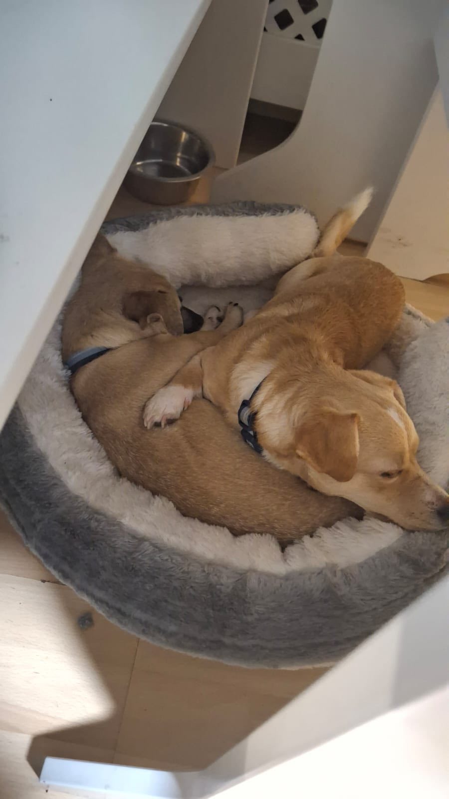 580790681_1489313789348595_6343883876090832077_n