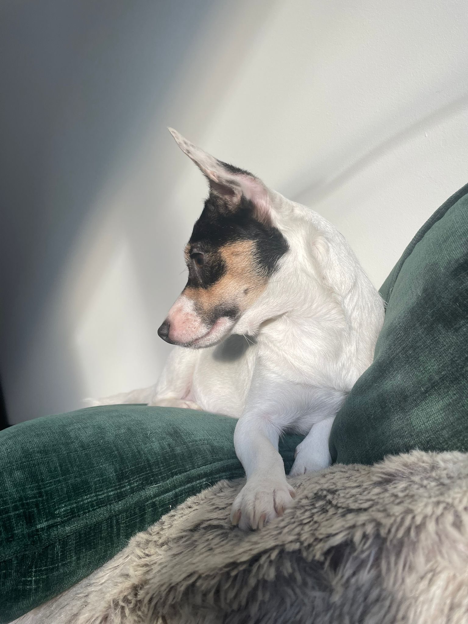 581928814_1489308006015840_1569724921607187519_n