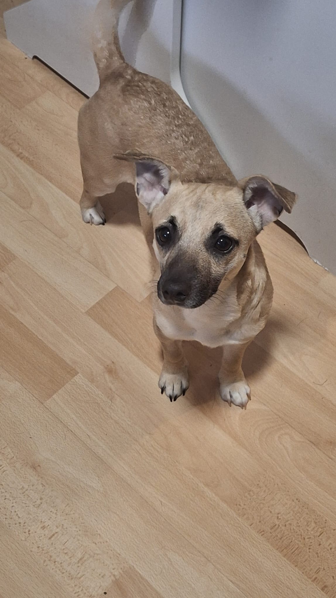 581954164_1489313376015303_1252752472211814246_n