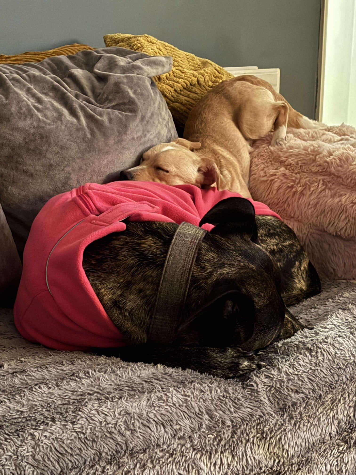 581957992_1489318869348087_1496322455319968903_n