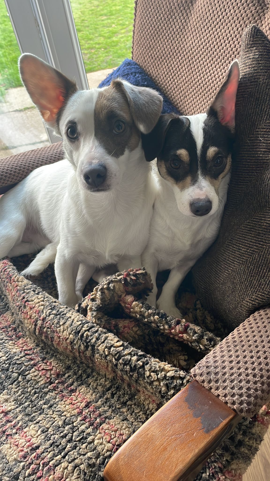 582516102_1489307936015847_8791219967590938947_n