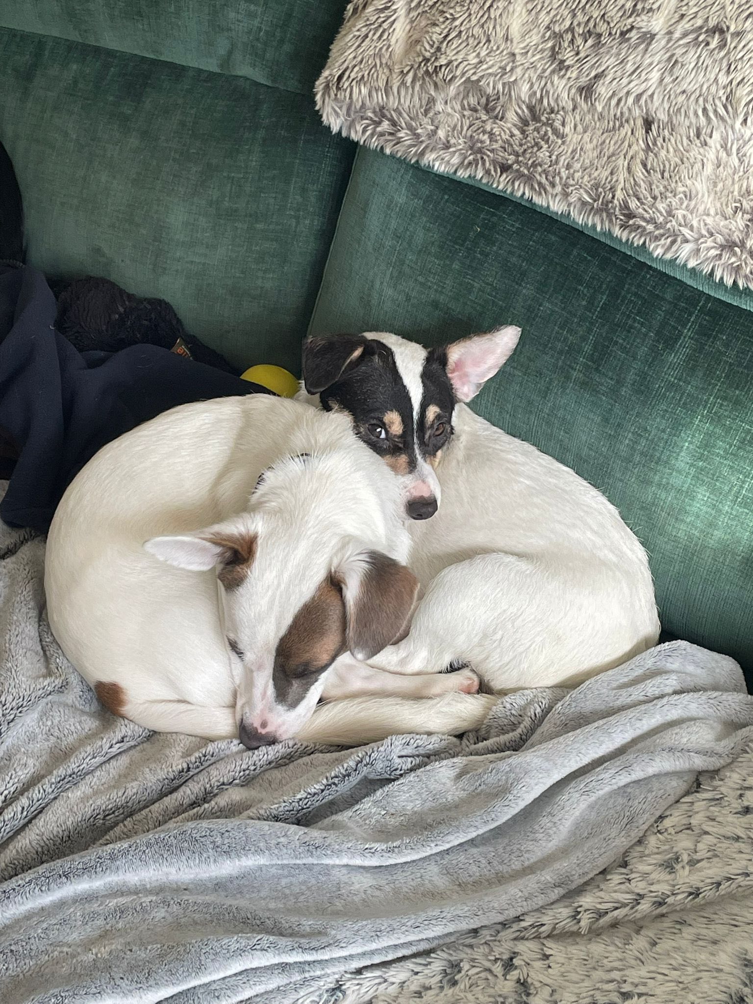 582635437_1489307992682508_323932646142265778_n