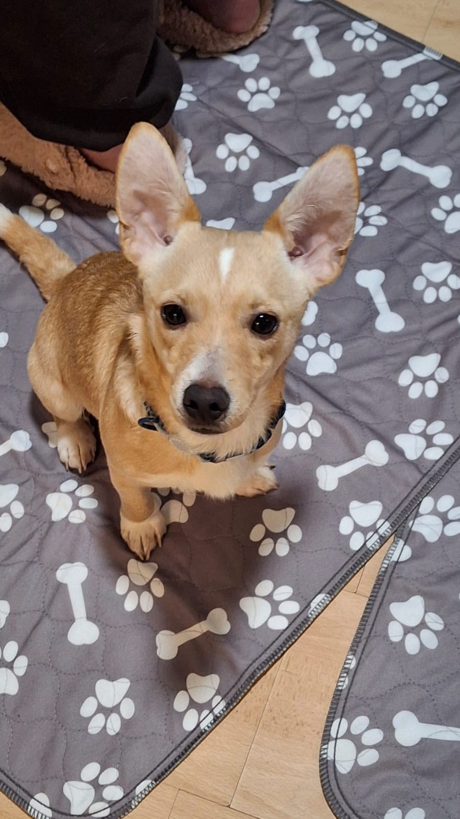 582736509_1489318832681424_3617737978062830440_n