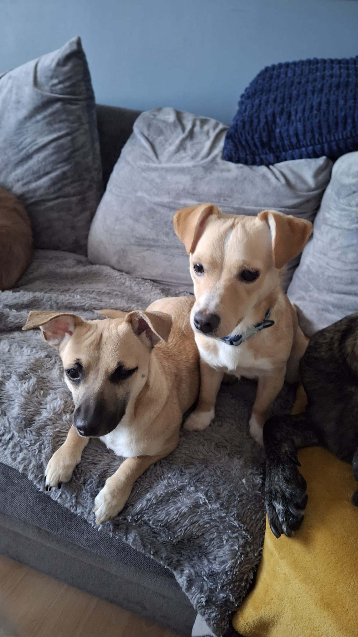 582782365_1489313516015289_8114556519760065589_n (1)