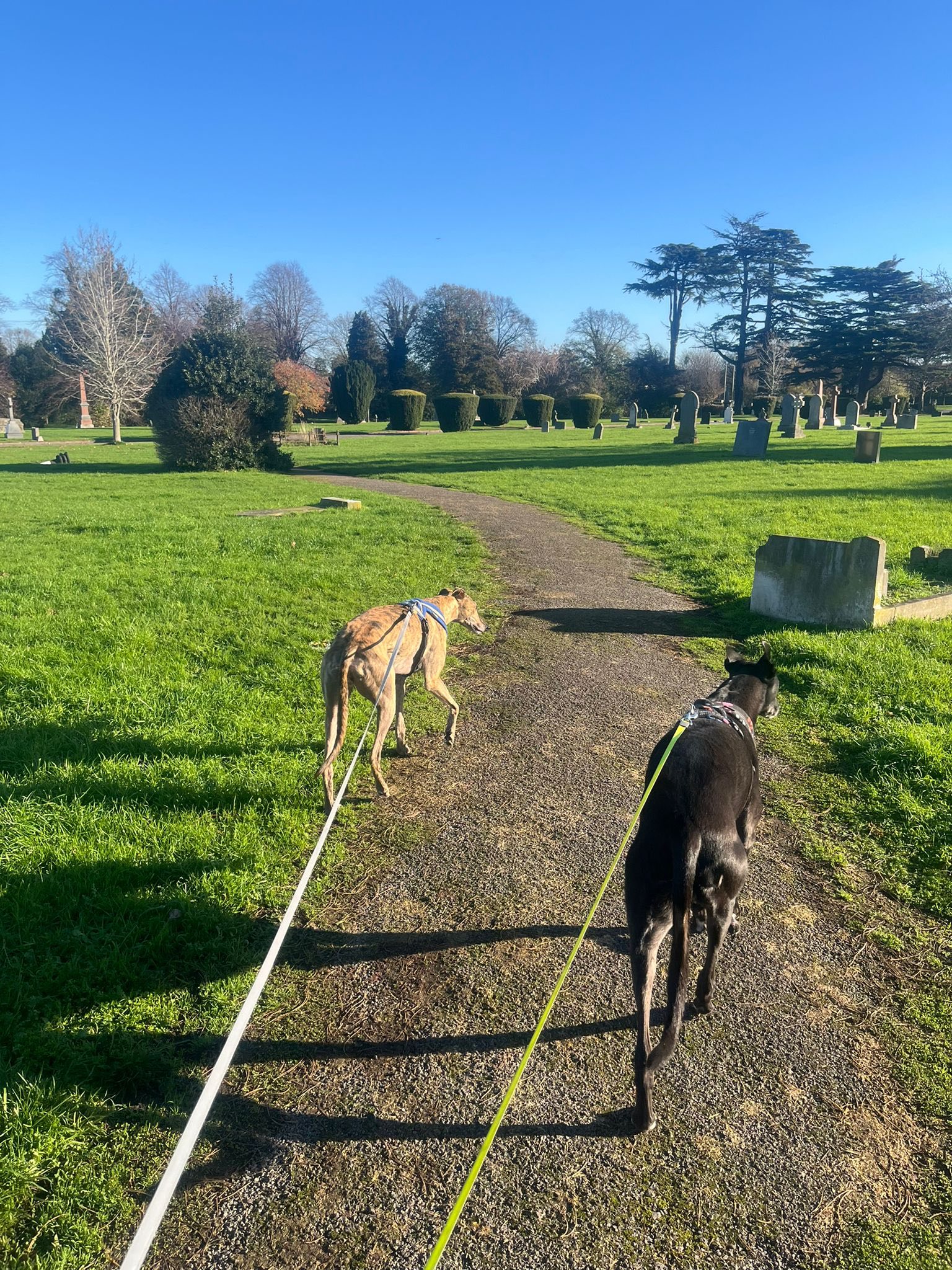 582947481_1494173332195974_1129683426187600493_n