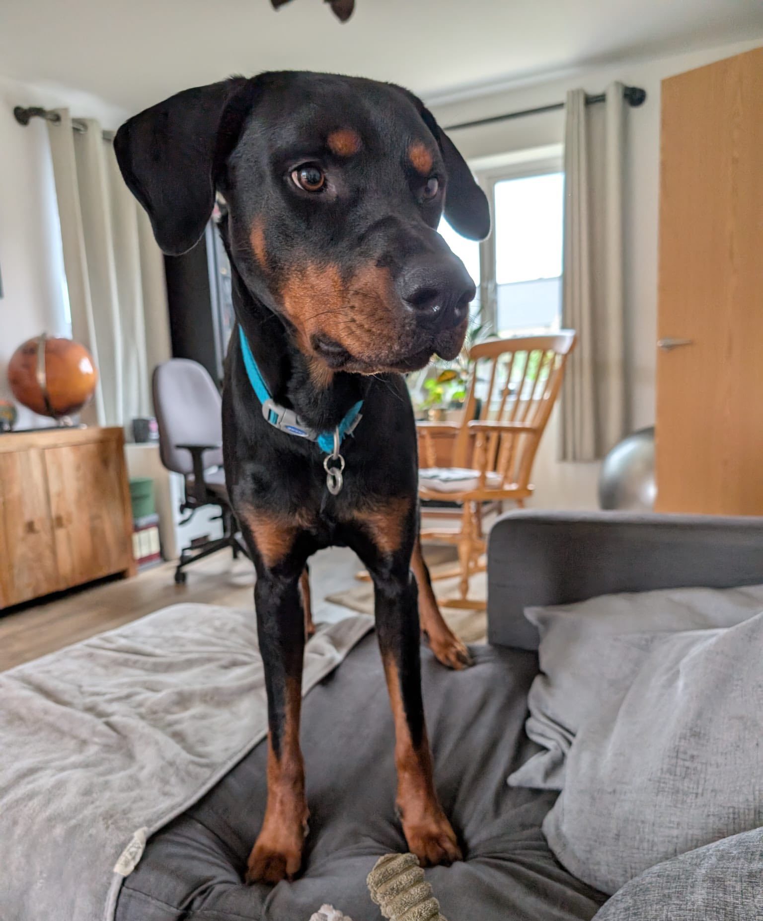 582958977_1491871782426129_6033084299284437120_n