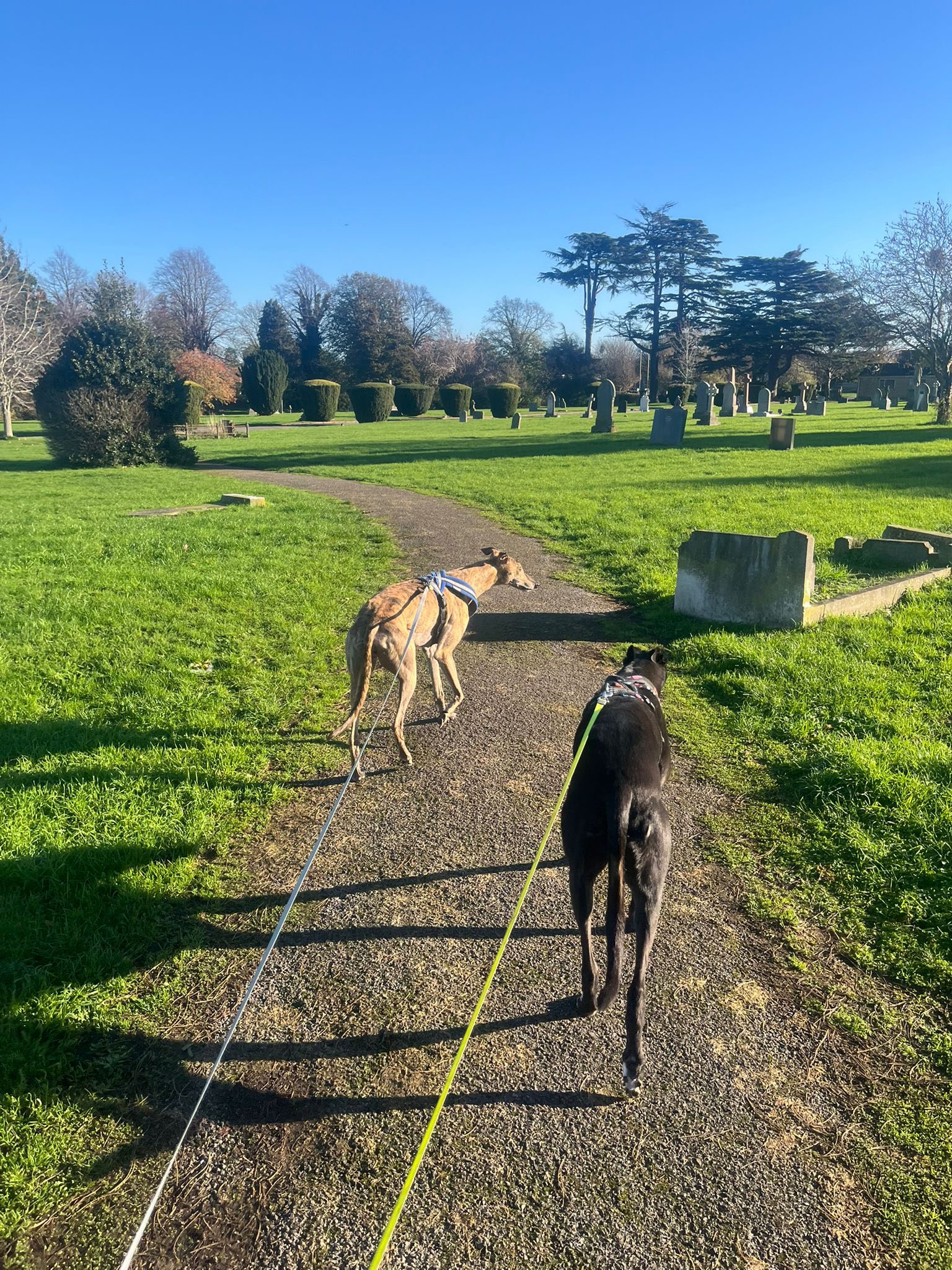 583329537_1494177122195595_71681367234442943_n