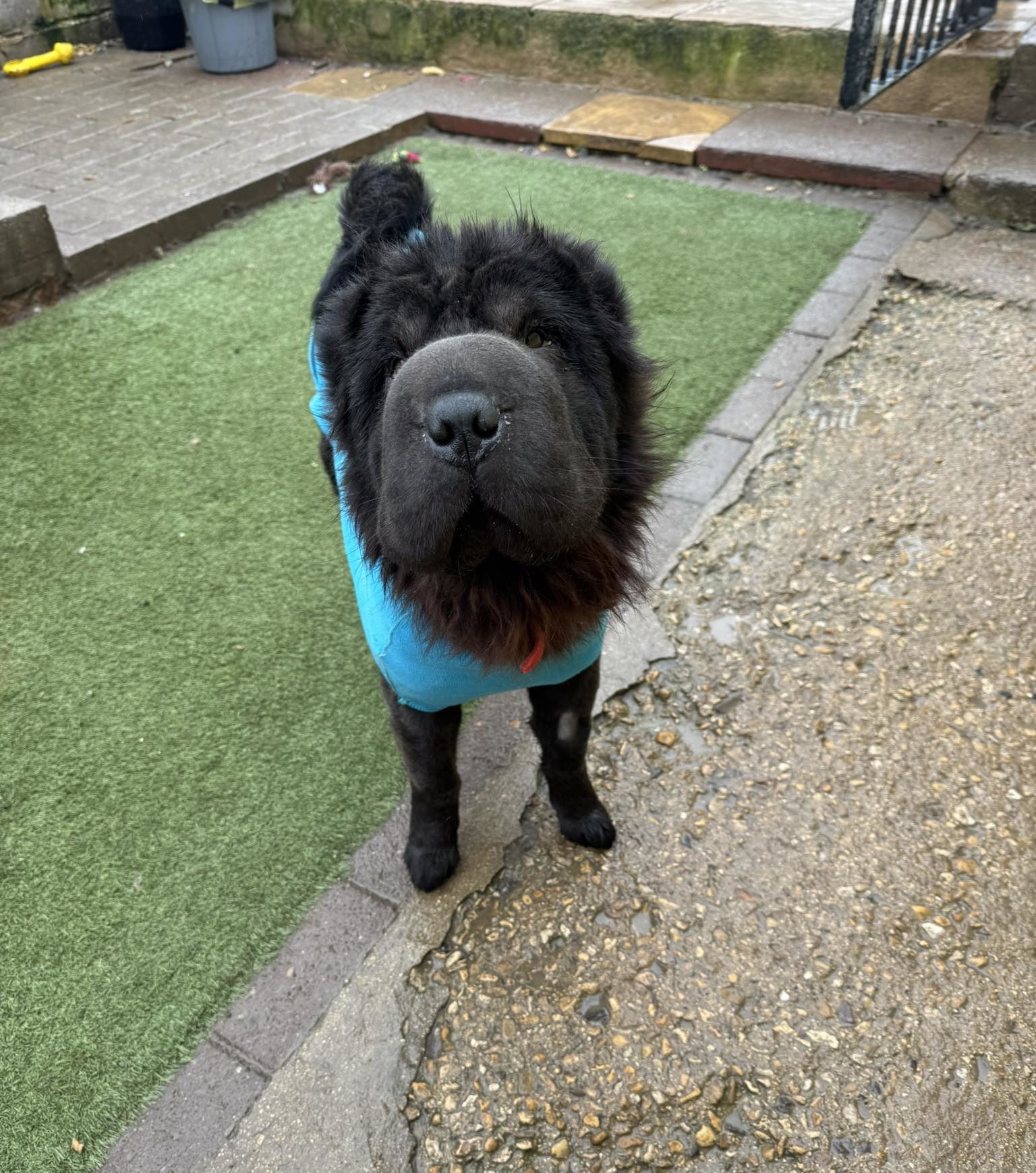 584577013_1496920478587926_6916037361958376387_n