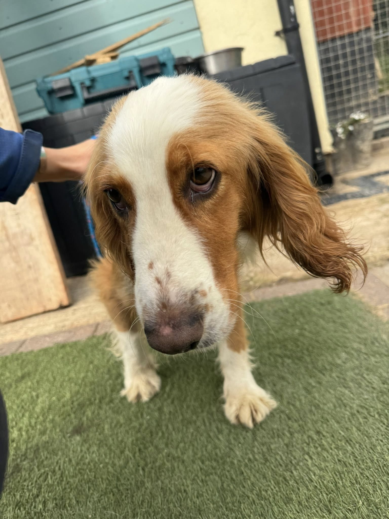 557482945_1455444629402178_6827059749499769417_n