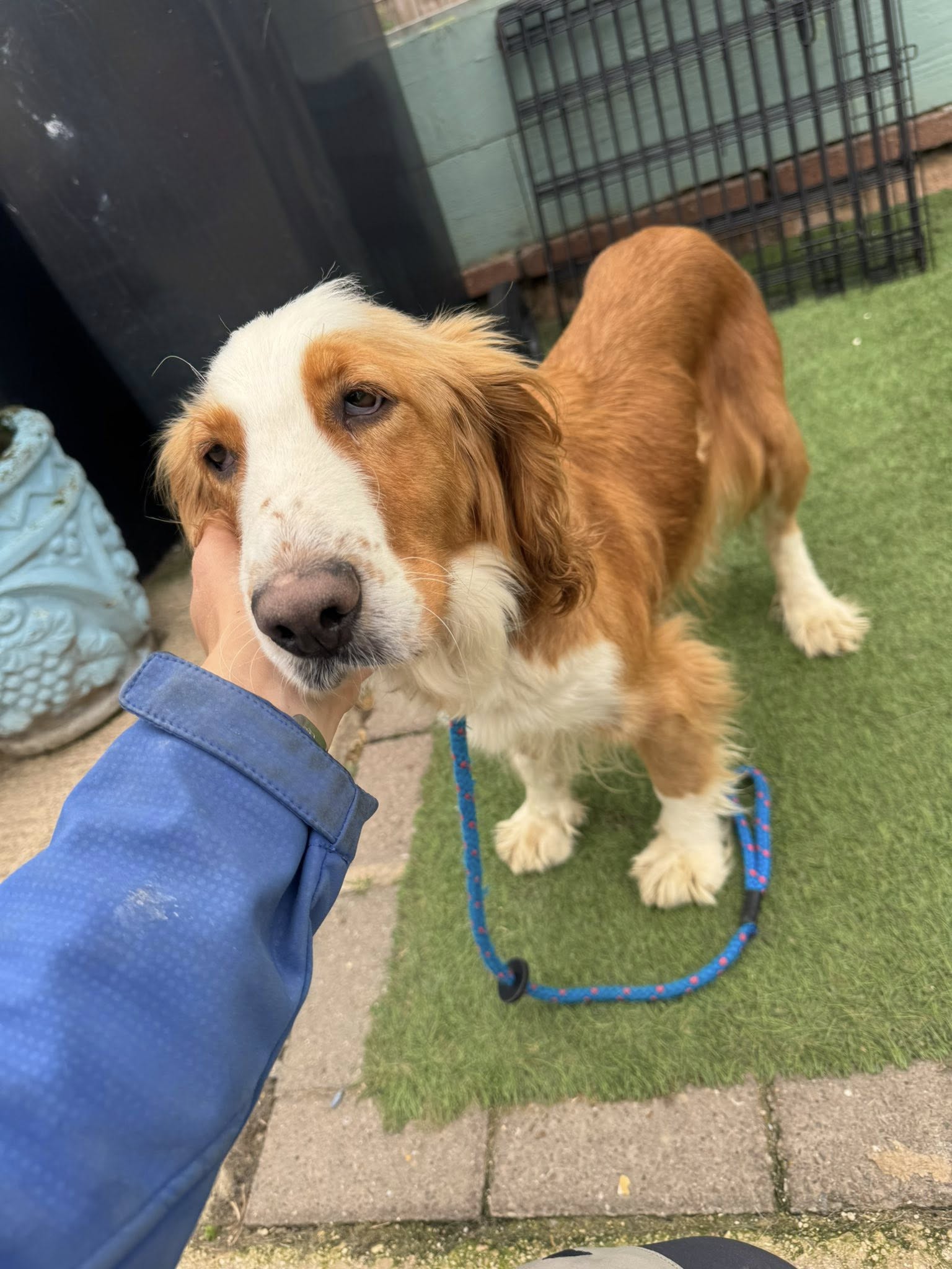 558345101_1455444572735517_3217933423268111927_n