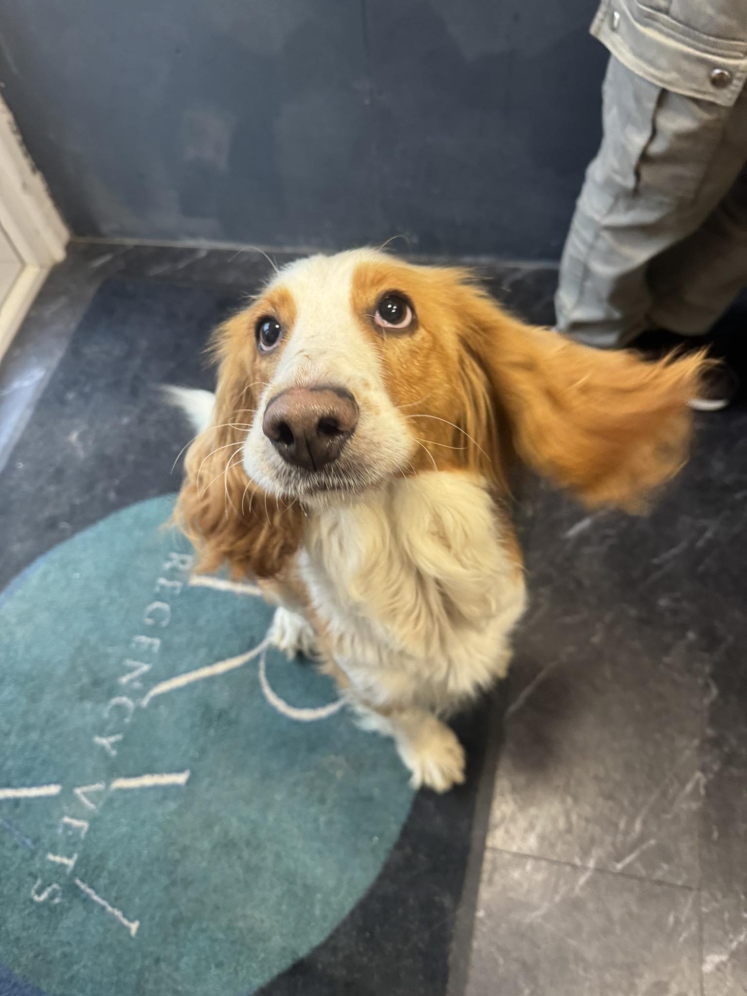 564618364_1461662472113727_7859423335523172275_n