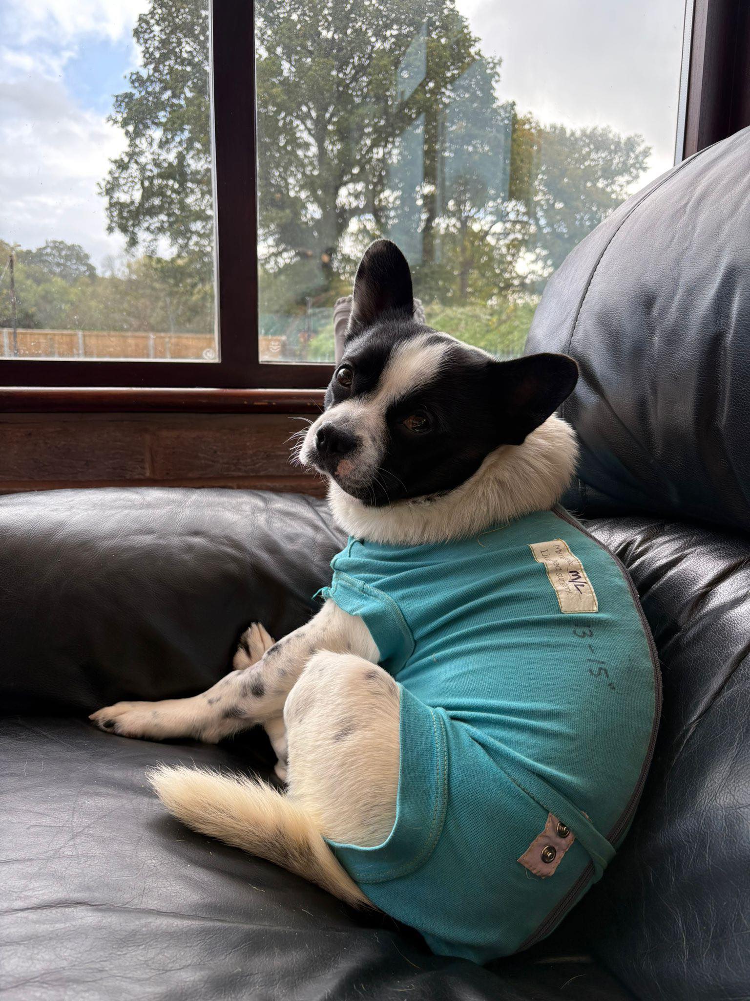 571279427_1472238687722772_6453065649967931112_n