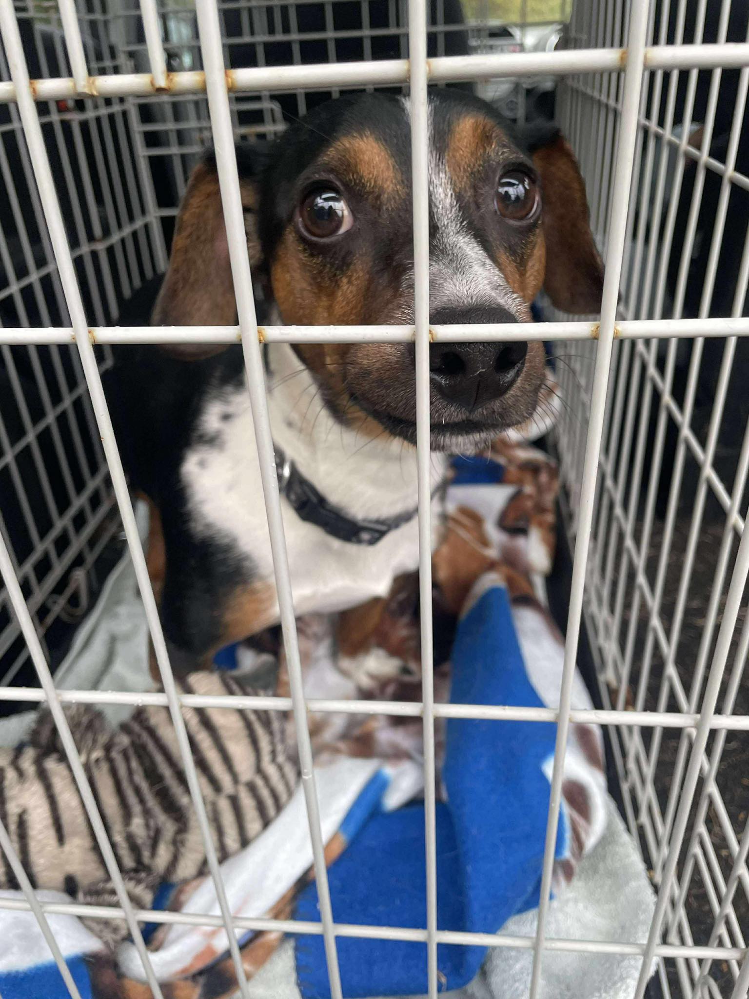 571361098_1472388771041097_412840080735005018_n