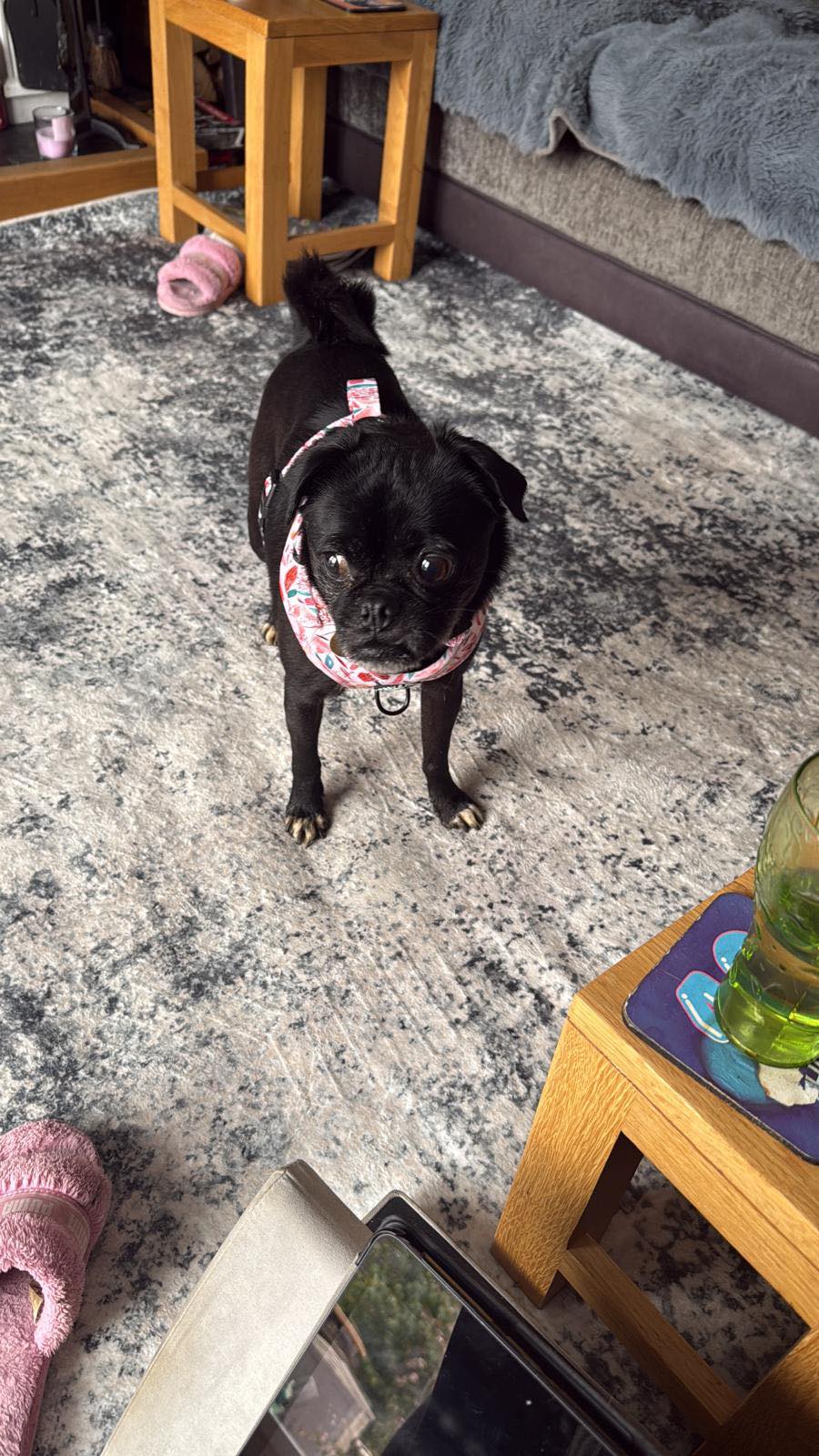 573275378_1476644267282214_5217295460764134001_n