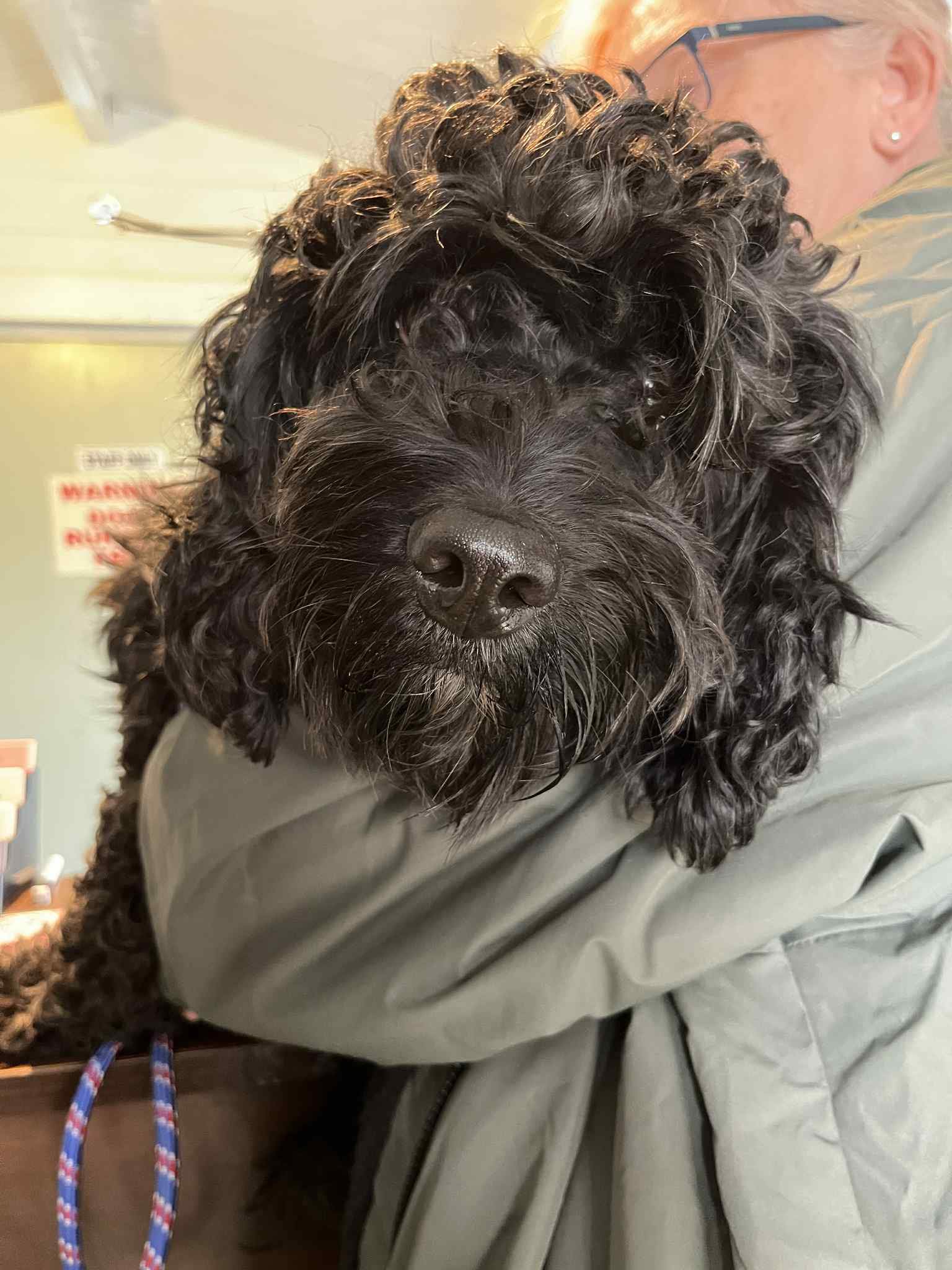 573359158_1473985060881468_5468157529319962808_n