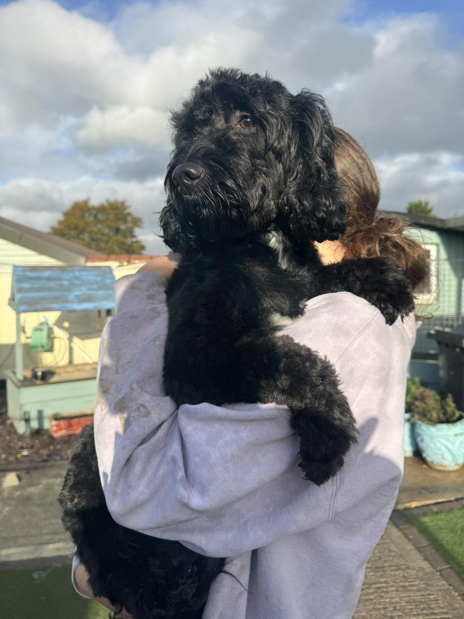 573570412_1476770940602880_1834757641019597897_n