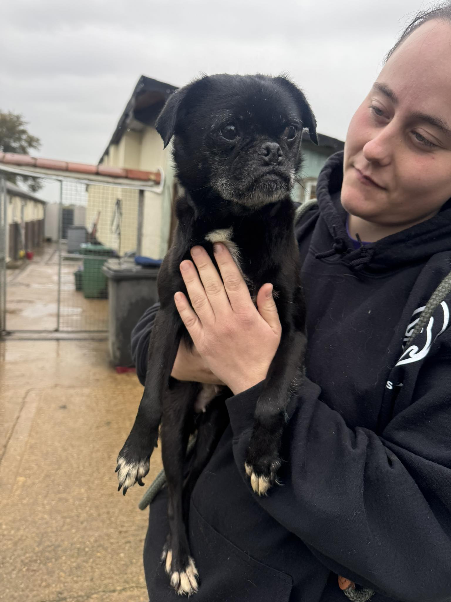 573652489_1474838004129507_595460545802069579_n