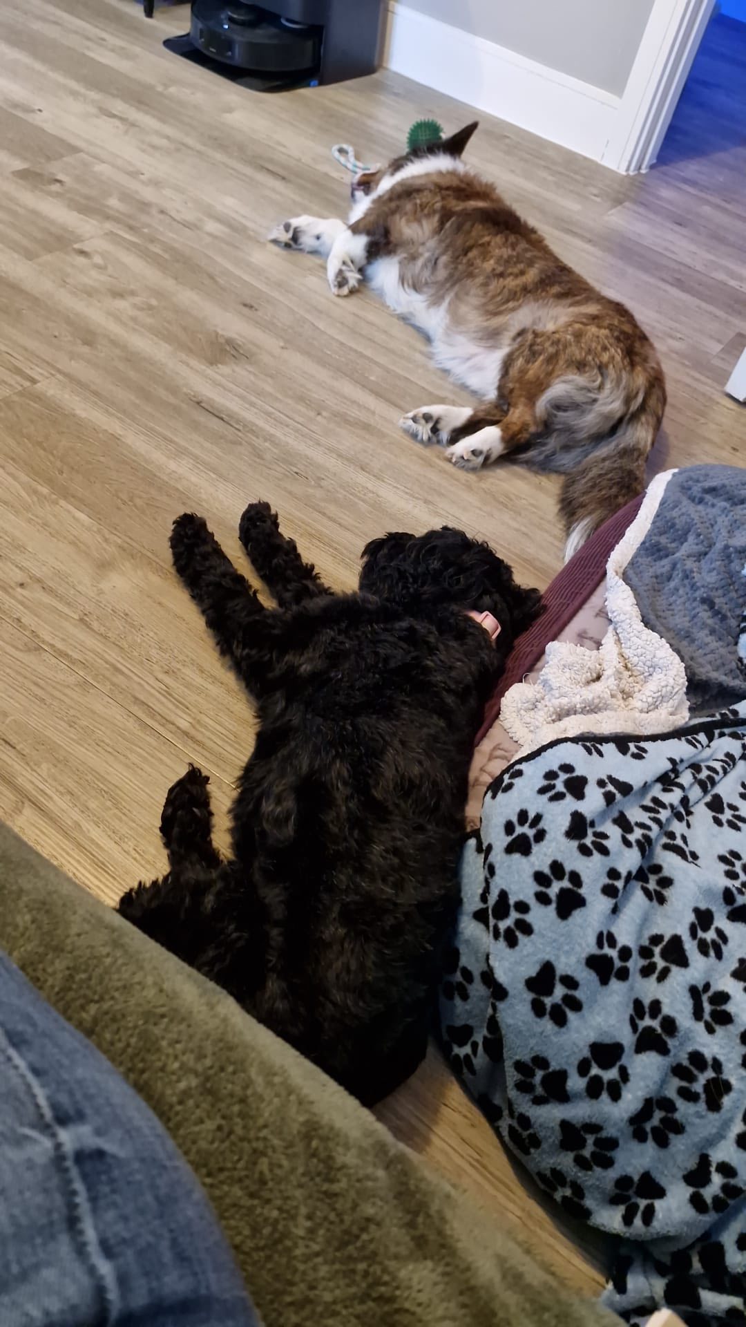 575174402_1479829743630333_5609520364126741724_n