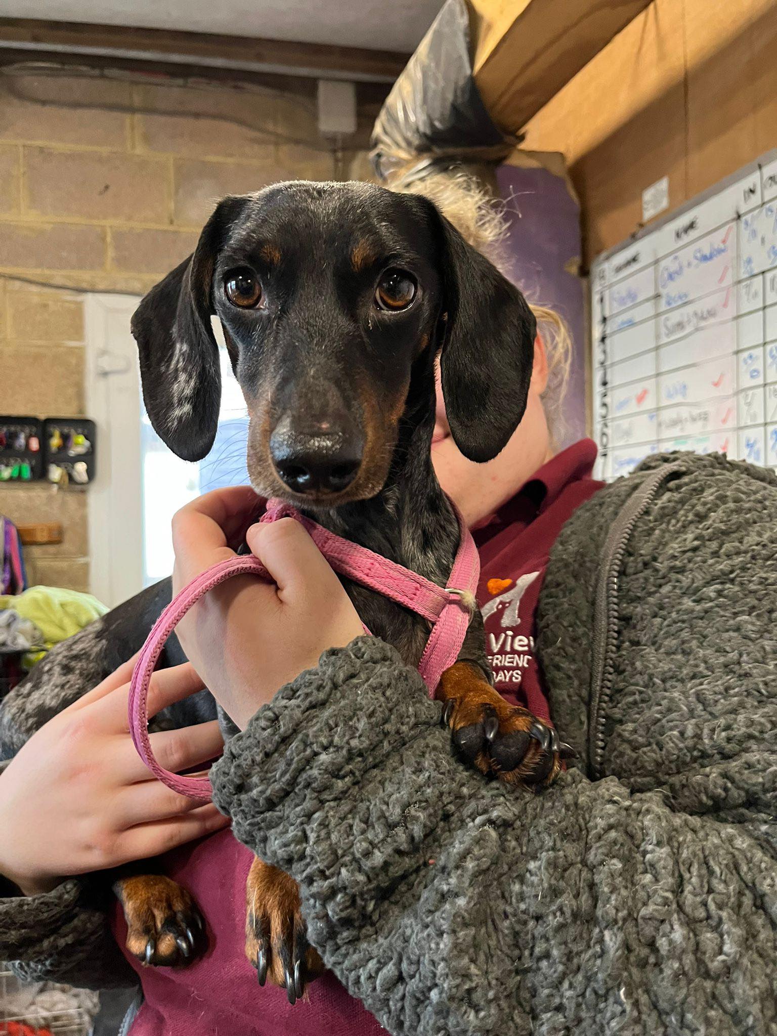 580006392_1487368816209759_979962456650945128_n