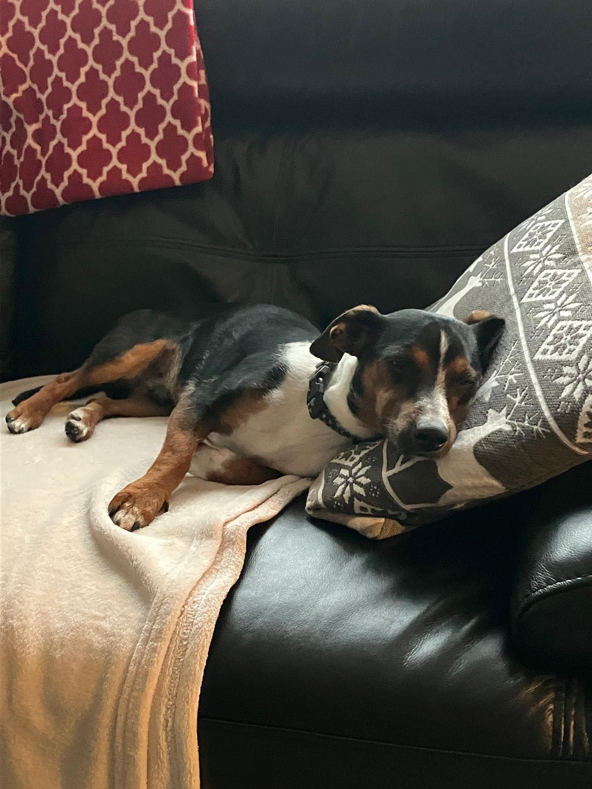 581428580_1487129516233689_4447403951412482740_n