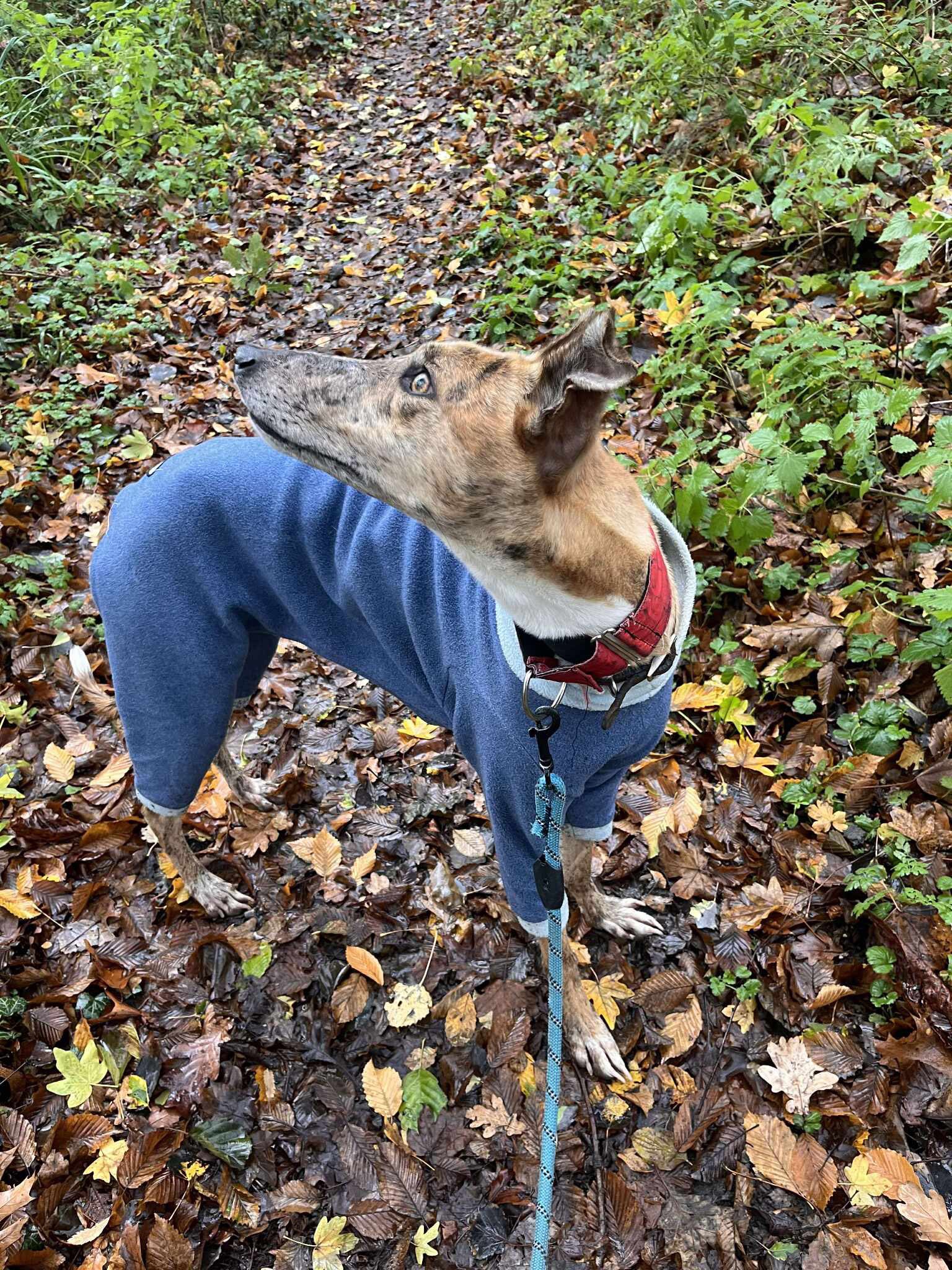 583336535_1497003725246268_7777257575830987046_n