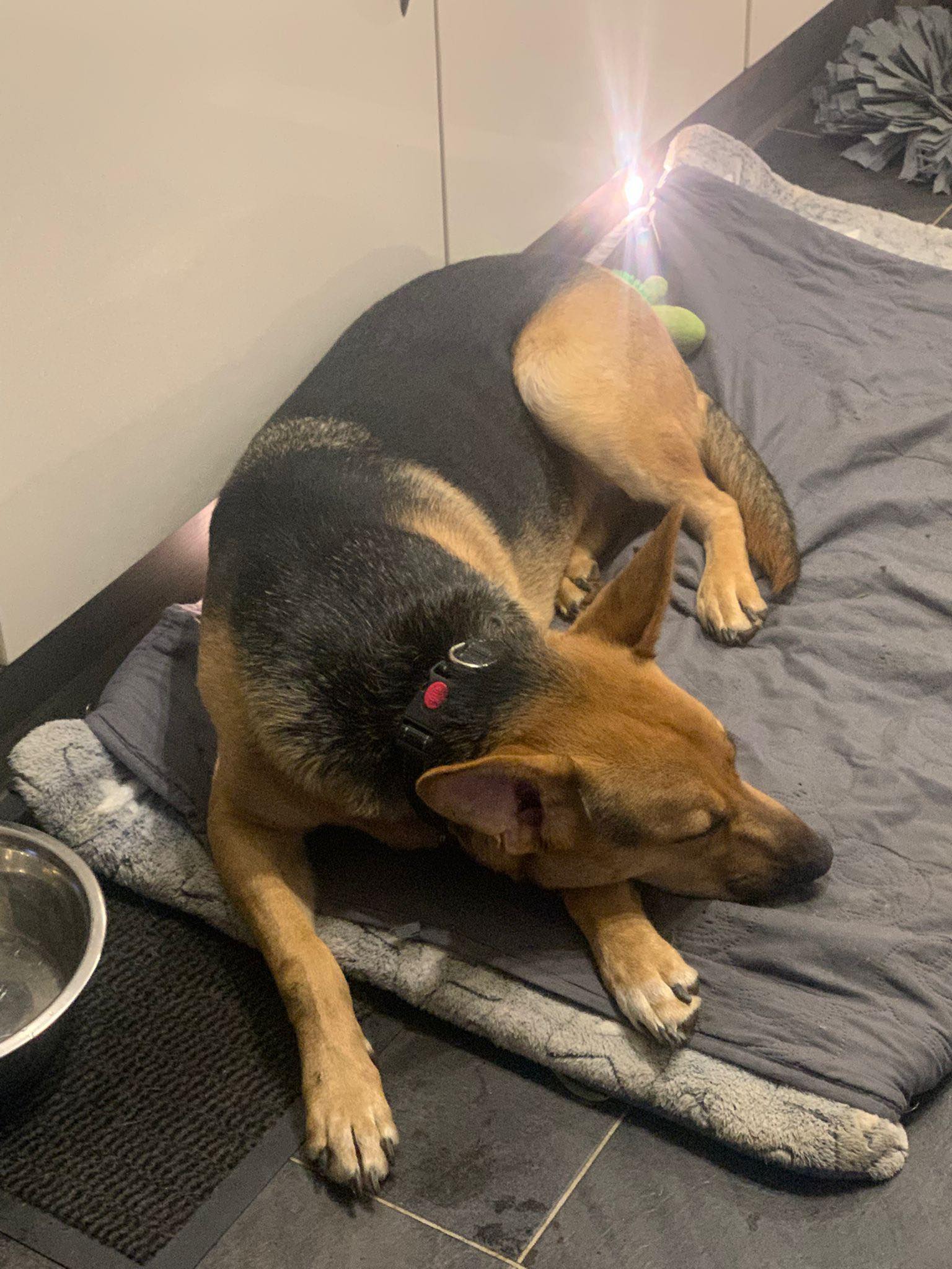 583924011_1492440499035924_6040362031142256975_n