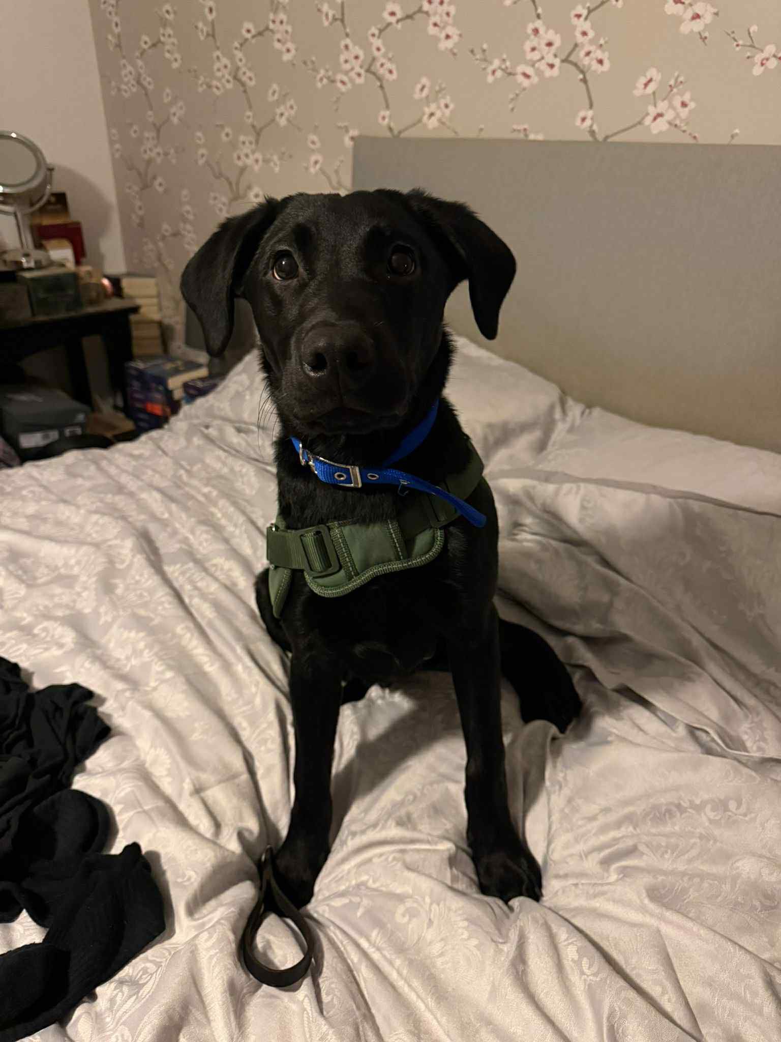 584404720_1494087735537867_2788311944601395472_n