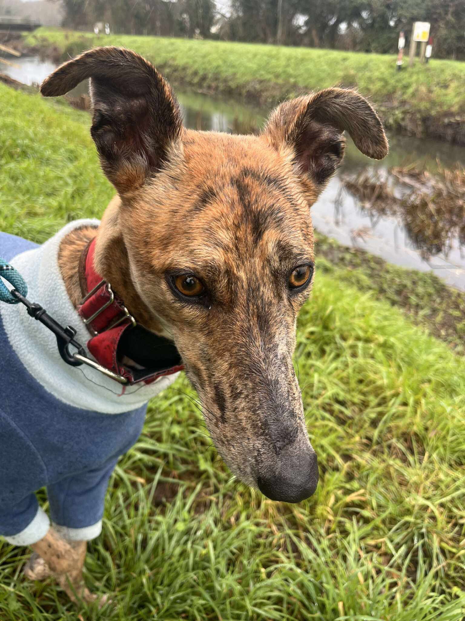 584985551_1497003778579596_2005637923149173969_n