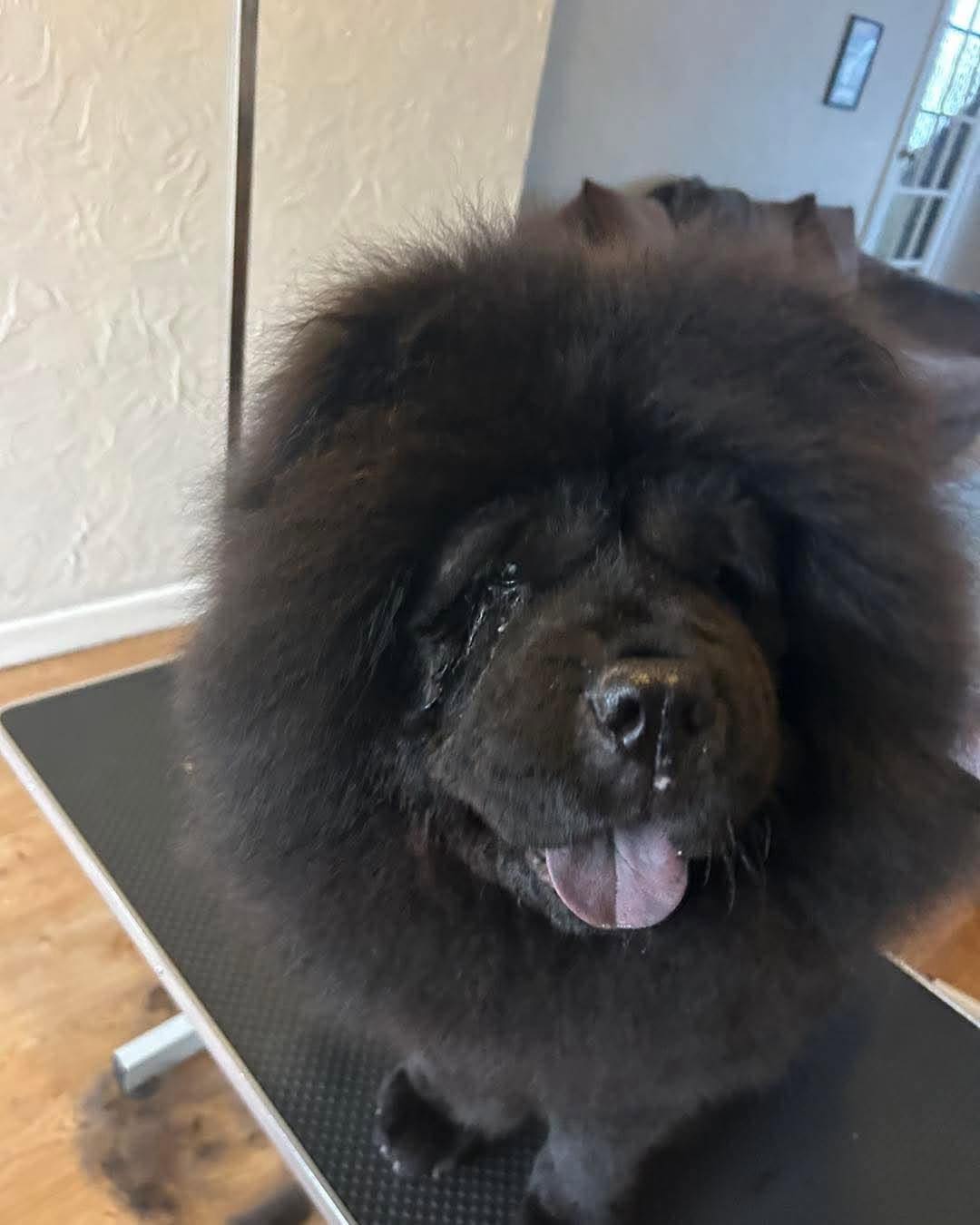 586764593_1498861675060473_4375821905065989191_n