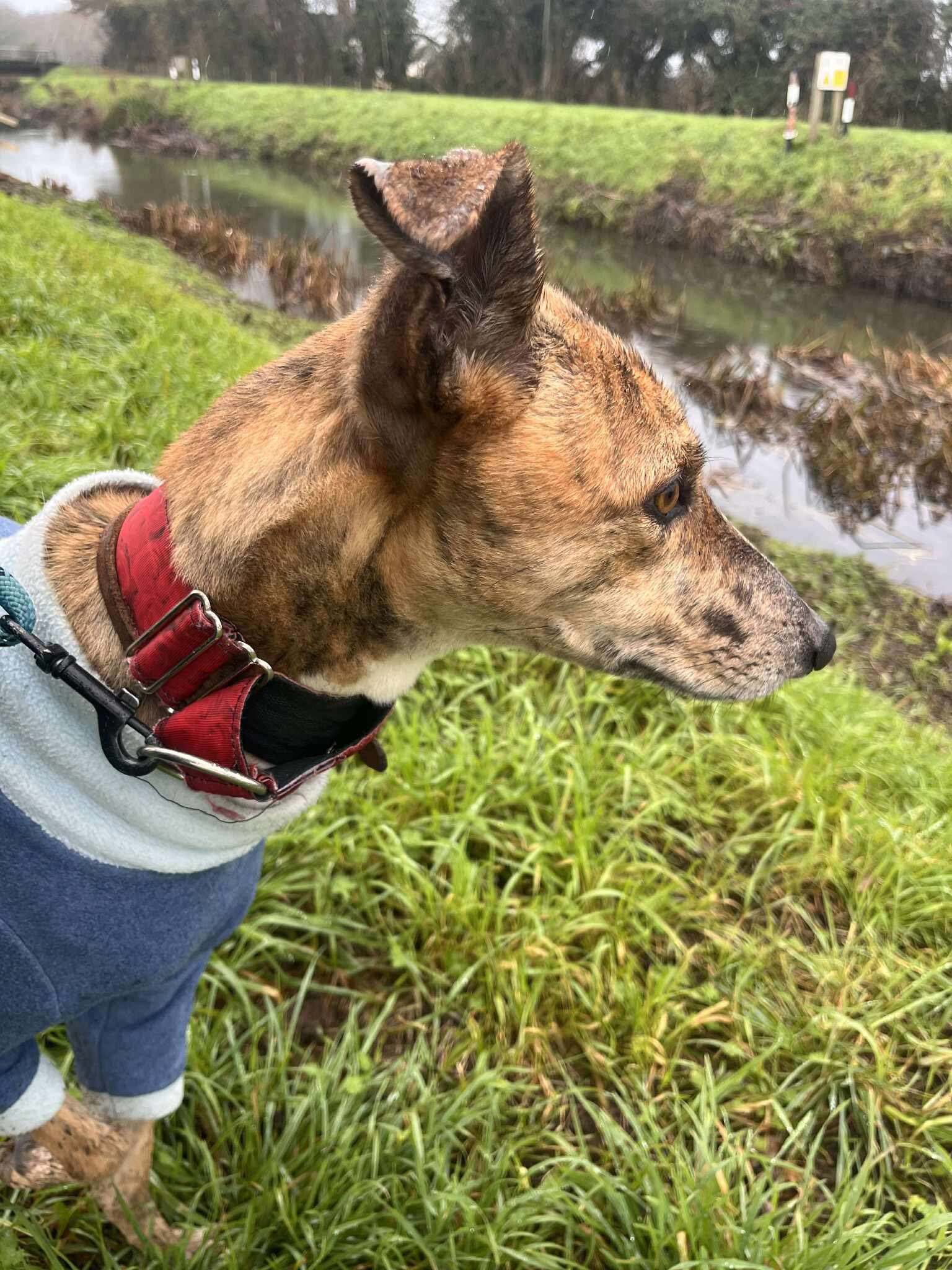 587088573_1497003701912937_4457563514437261082_n