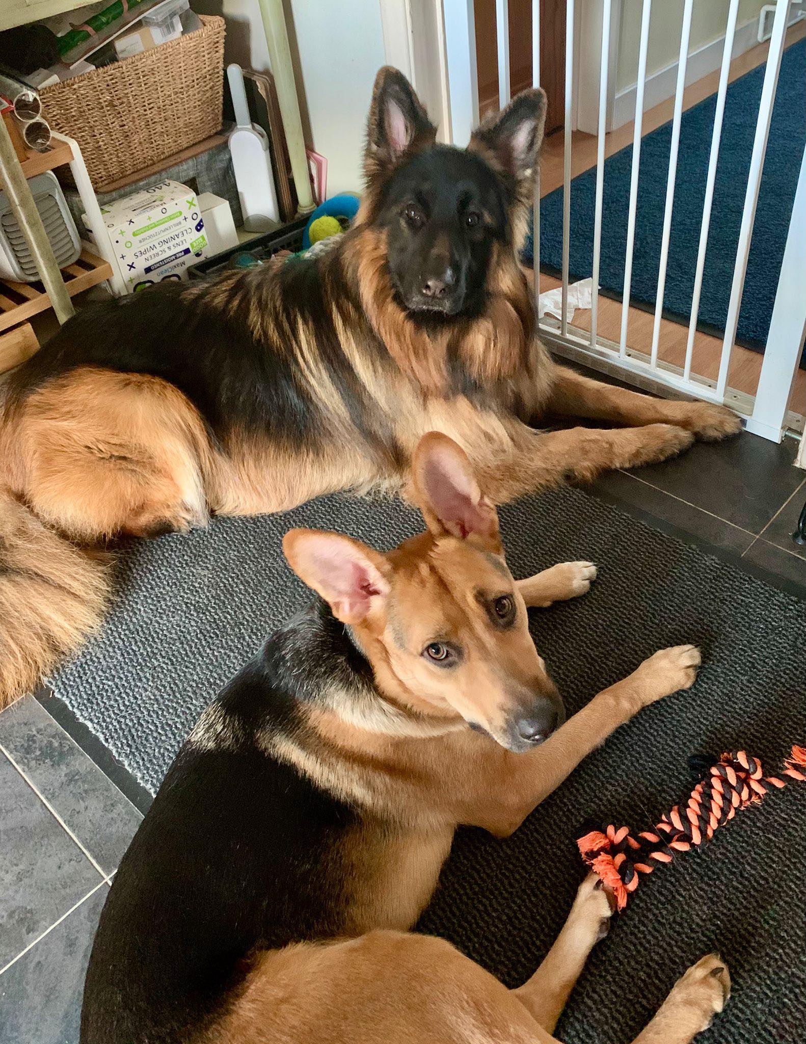 587552434_1502772161336091_8315756684341743893_n