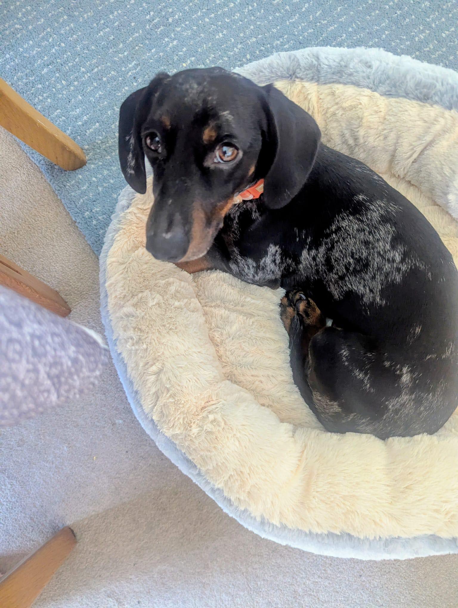 588885432_1500221441591163_7815145406981160012_n