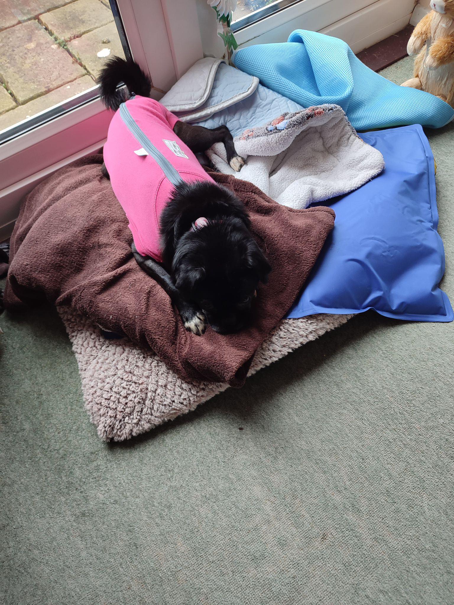 591515763_1502565561356751_566906388639250216_n