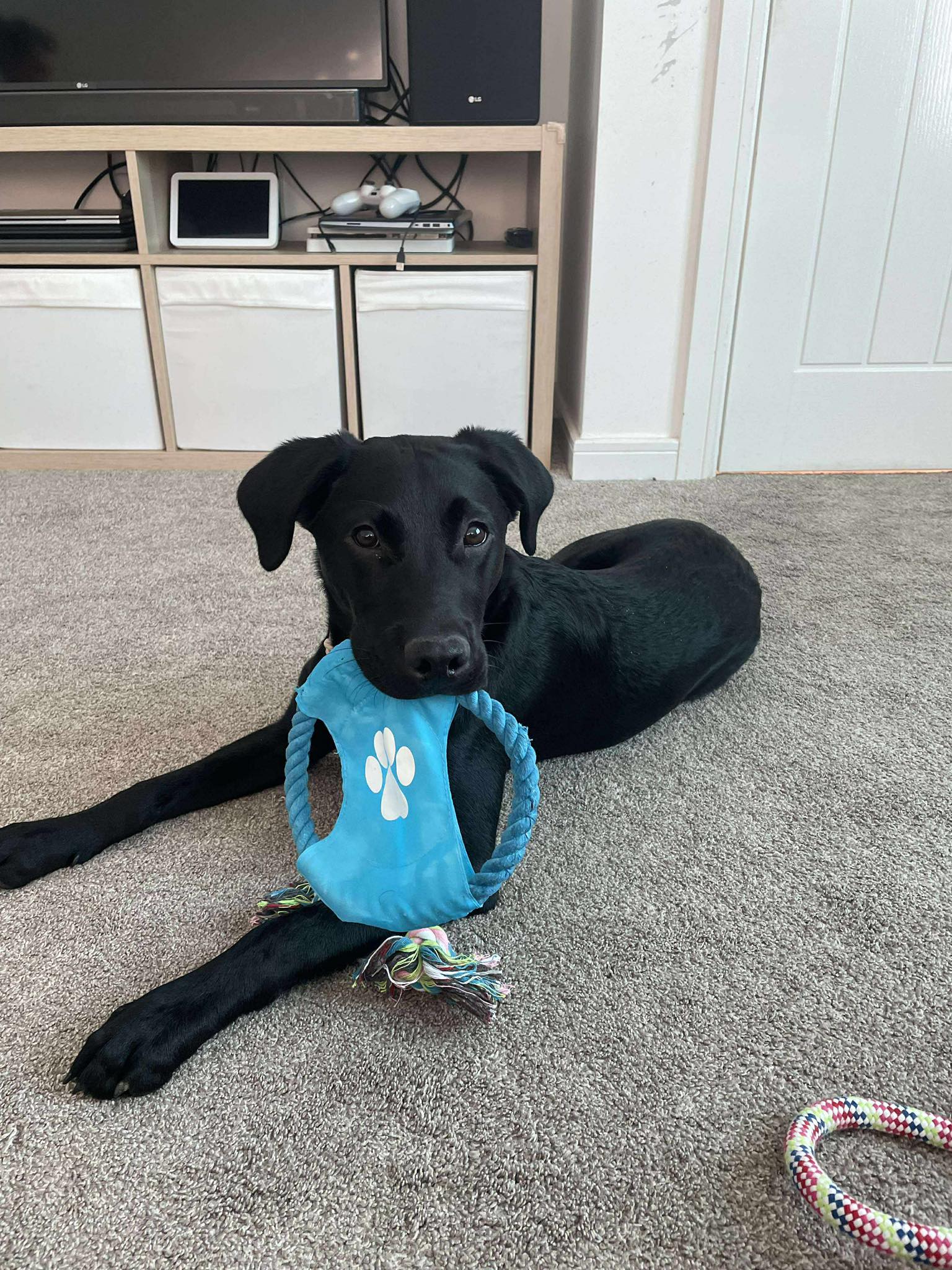 592781133_1506318967648077_7319975906657600351_n