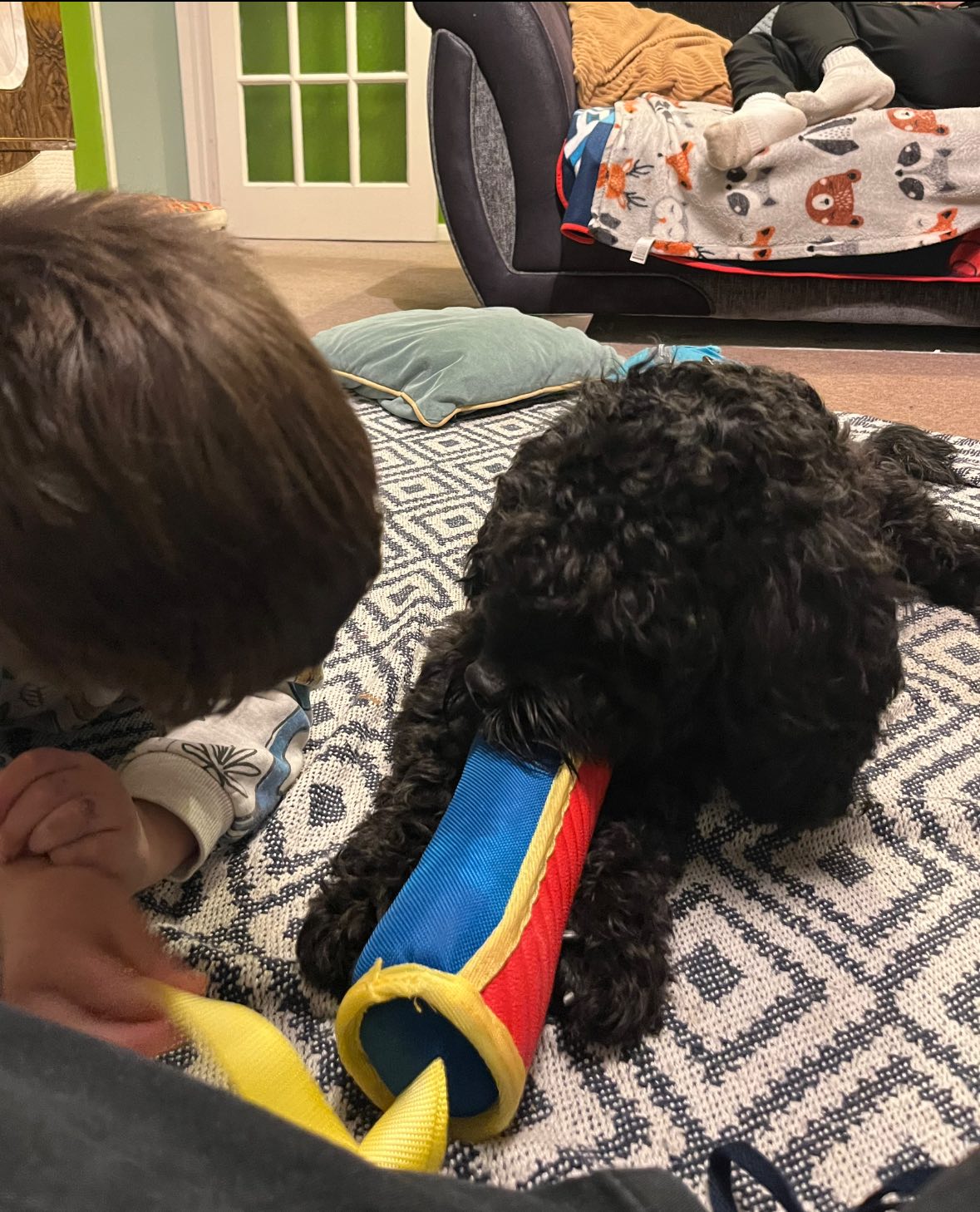 593348399_1505295137750460_6356498471342159728_n