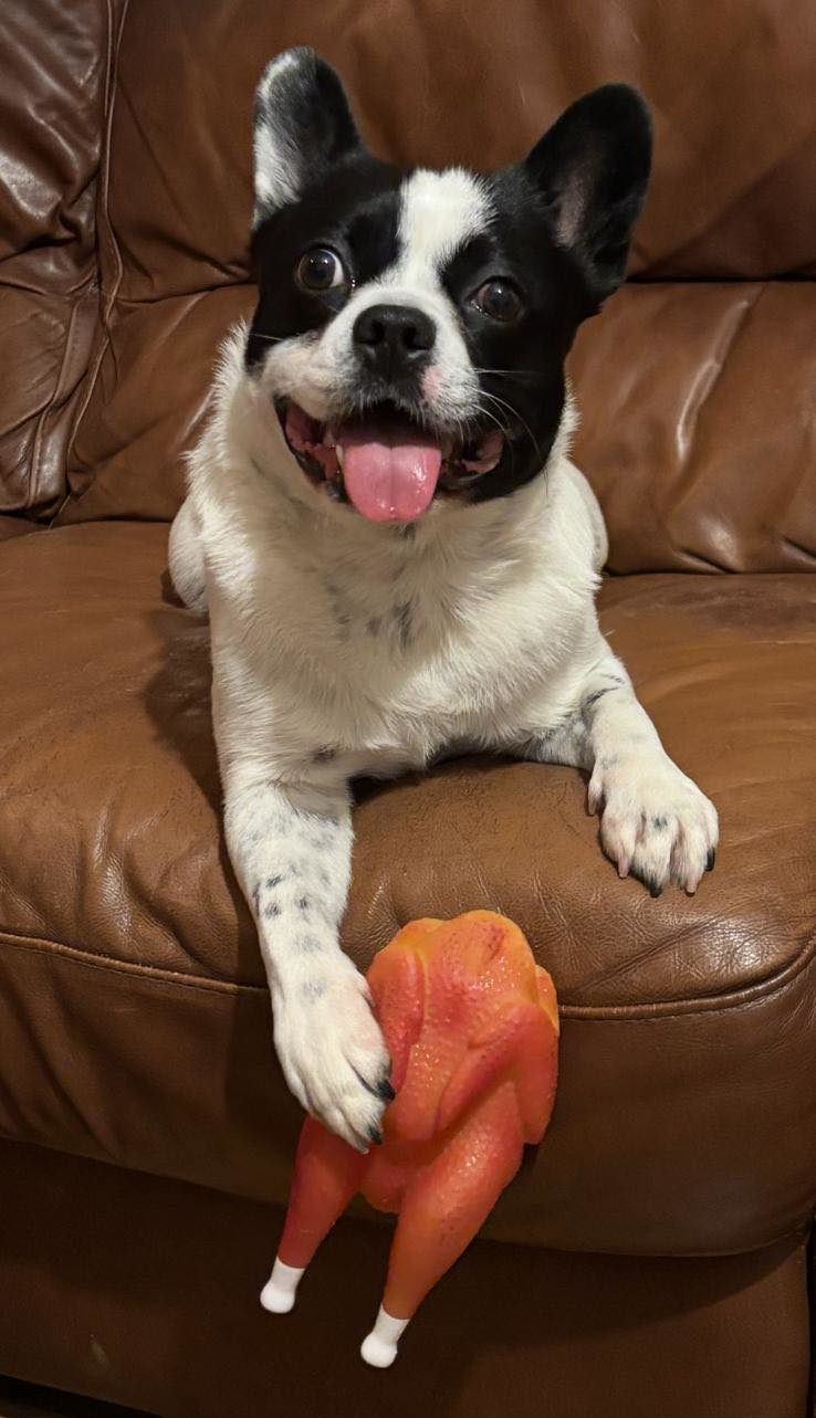 594157071_1506737447606229_6194691125488142909_n