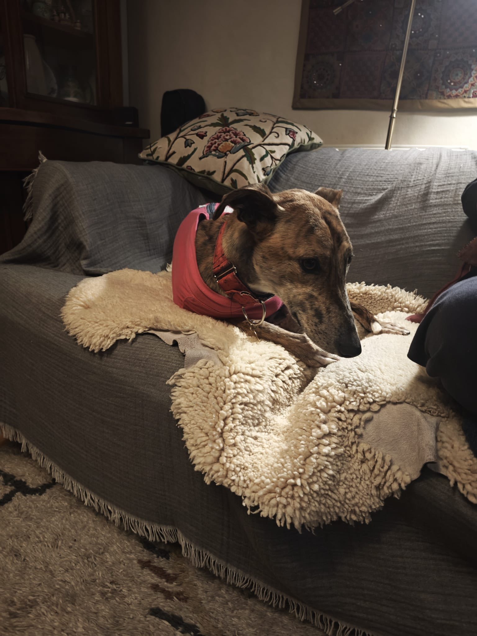 596585664_1512567827023191_8335323388882991881_n